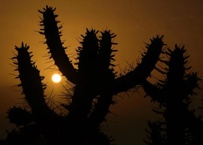 Marianna Con Piscina Climatizada Y Barbacoa *